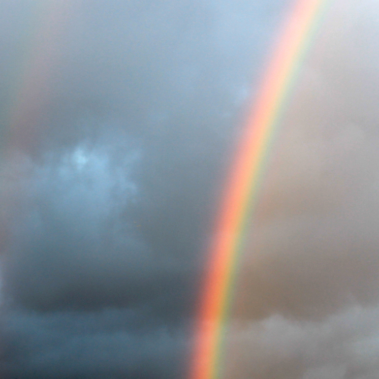 Regenbogenbegleitung