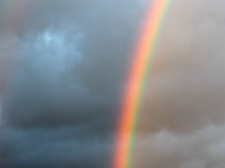 Regenbogenbegleitung